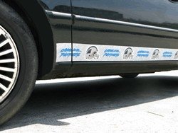 Carolina Panthers Car Trim Magnets