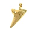 14K Yellow Gold Shark's Tooth Pendant - 3.4 grams