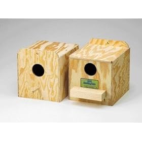 Ware Love Bird Nest Box Regular - 1573 by WARE