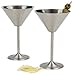 RSVP International Endurance Stainless Steel Martini Glasses Set of 2