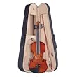 Palatino VN350 Campus Violin Outfit