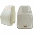 Boss MR30 2-Way Marine Box Speaker
