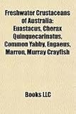 Freshwater Crustaceans of Australia: Euastacus, Cherax Quinquecarinatus, Common Yabby, Engaeus, Marron, Murray Crayfish-