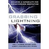 Grabbing Lightning: Building a Capability for Breakthrough Innovation
