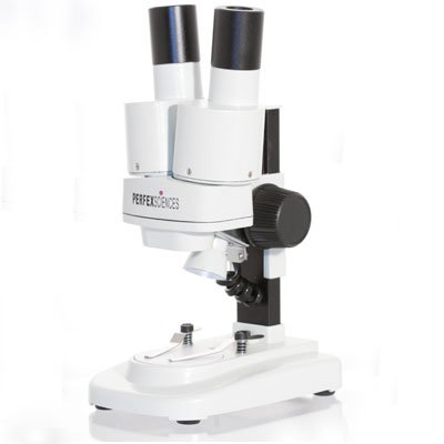 Perfex Sciences-Loupe binoculaire initiation 20 X