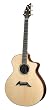 Breedlove Master Class Ed Gerhard Signature Acoustic Guitar, Made in U.S.A.