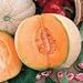 Honey Rock Cantaloupe - 200 Seeds - BONUS PACK!
