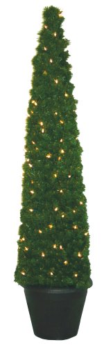 Good Tidings 6-Foot Pre-Lit Potted Artificial Arolla Pine Tree