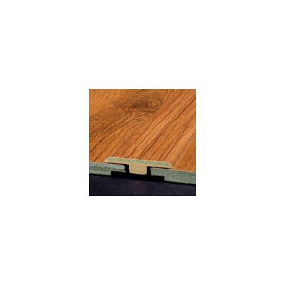 Laminate T-Molding with Track 72 M52E1