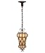 Fine Art Lamps Casa di Campagna 306440 Mini Lantern (15H x 7W) 60w Pendant