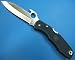 SPYDERCO�ʥ��ѥ����륳�� ����ǥ塼��TSUNAMI�ʥĥʥߡ�