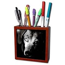 Dogs Dachshund - Black Dachshund Portrait - Tile Pen Holders-5 inch tile pen holder