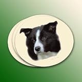 Border Collie Coasters - 4 Pack