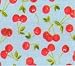 Vinyl Basic Style Apron - Cherries