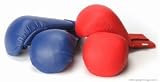 Karate Gloves in PVC