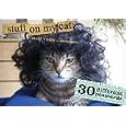 Stuff On My Cat: The Postcard Box - 30 Postcards by Mario Garza