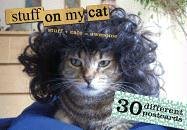 Stuff On My Cat: The Postcard Box - 30 Postcards