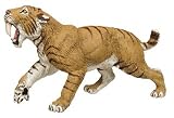 Prehistoric Life Smilodon