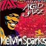 Legends of Acid Jazz
