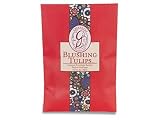Review Greenleaf GL900424 / Blushing Tulips Large Sachet by Greenleaf