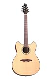Wechter Model 3135L-3B Deluxe Pathmaker Guitar