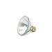 60/PAR30/CAP/SPIRAL-LENS/NSP/120V