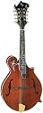 Michael Kelly Legacy Dragonfly Flame Mandolin, Walnut