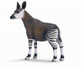 Schleich African Okapi