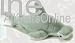 Hammerhead Shark: Official Sea World Marine Mates Talking Plush Stuffed Animal