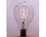 1893 Edison Light Bulb 40 Watt