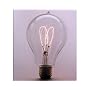 1893 Edison Light Bulb 40 Watt
