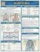 Nursing Laminate Reference Chart (Quickstudy: Academic)