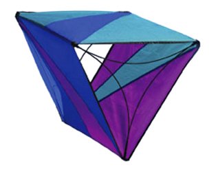 Childrens Toyshop  Sporting Goods : Prism Triad Kite