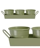 Review Garden Trading  / Set 3 PLANT or HERB POTS on a TRAY in APPLE GREEN
