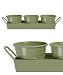 Kitchen & Housewares : Set 3 PLANT or HERB POTS on a TRAY in APPLE GREEN