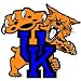 NCAA Kentucky Wildcats - Large Wall Accent College Mural / Sticker