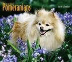 image link - - B002GX8K5Q