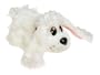 Pound Puppies Classic: Poodle