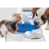 Pet Supplies : Hagen Catit Drinking Fountain (14"x10"x7" - drinking fountain)