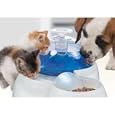 Hagen Catit Drinking Fountain (14"x10"x7" - drinking fountain)