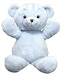 14" Personalizable Blue Bear Stuffed Animal