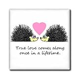 True Love Comes Along Once in a Lifetime - Cute Hedgehog Love Design - 8 Inch Glass Tile