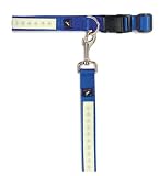 Nite Lite Collar Medium 1 Red