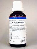 Galium - 50 ml - Liquid