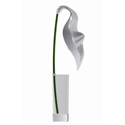 Spicy Anthurium Zitronenpresse mit Glas, Farbe: 