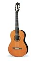 Yamaha C40 classical guitar Pro Pack