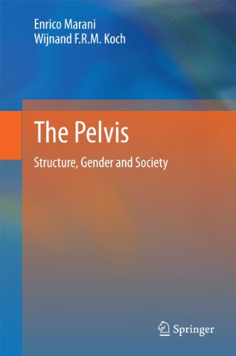 The Pelvis: Structure, Gender and Society