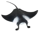 Eigenschaften Safari / Mantarochen