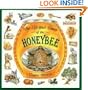 The Life and Times of the Honeybee