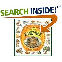 The Life and Times of the Honeybee